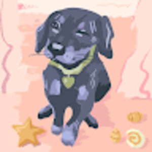 Meet your Posher, Kendall